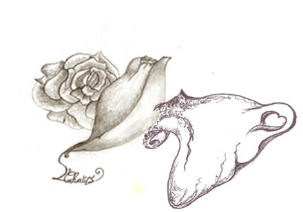 lydia chatys, artiste peintre : création du dessin: le parchemin de la rose